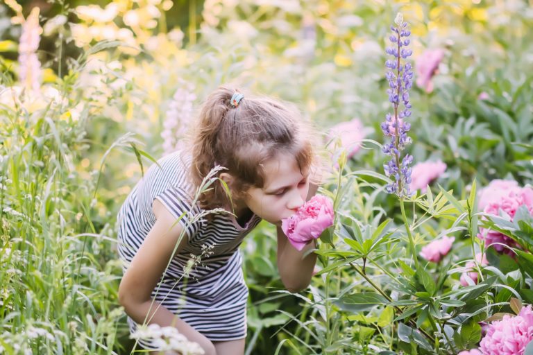 A little girl breathes in the fragrance of the peony flower in summer garden.